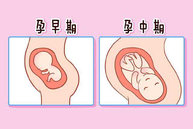 2024年北京有几家试管婴儿医院有精子库？